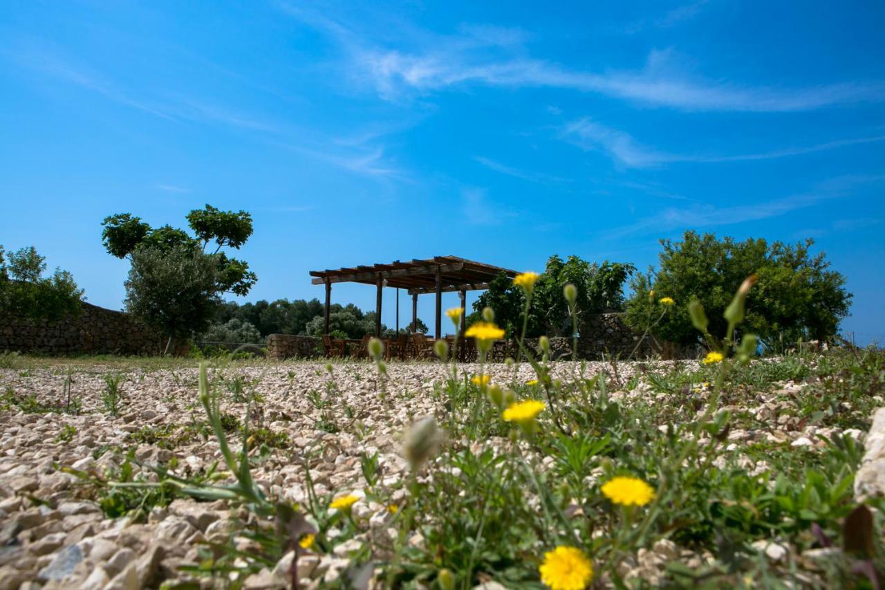 Antica Masseria Ficazzana - Tenuta Марина-ди-Песколузе Экстерьер фото